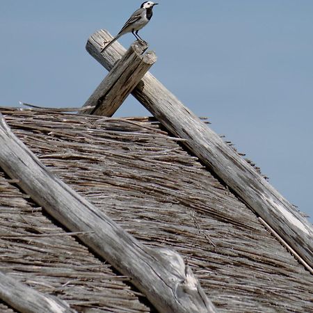 Sakla Kadariku Tourism Farmヴィラ エクステリア 写真