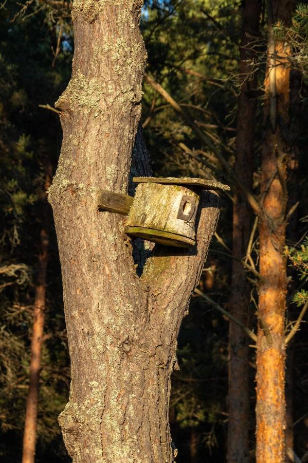 Sakla Kadariku Tourism Farmヴィラ エクステリア 写真